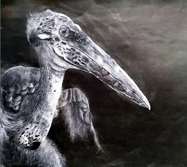 校园吉尼斯 (18) 校园吉尼斯 (18)